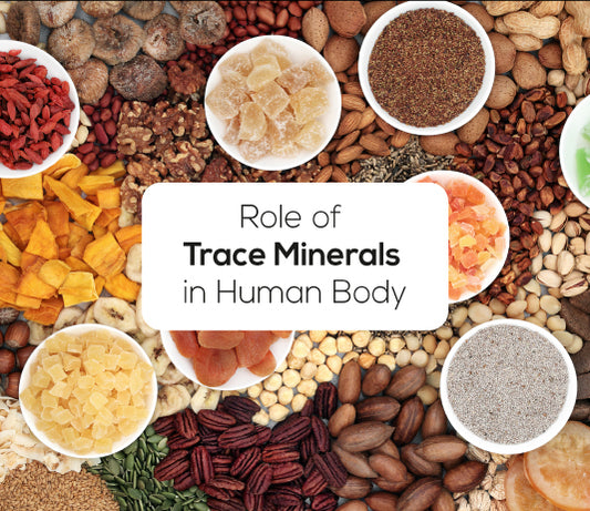 Plant Derived Trace Minerals | Unsung Heroes of Health