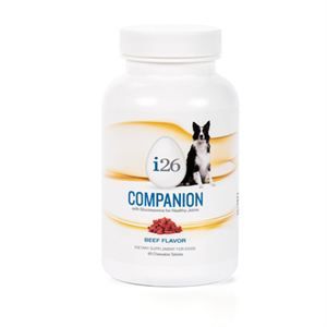 Dog Companion Chewable - Beef