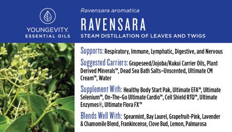 Ravensara Essential Oil - 10ml