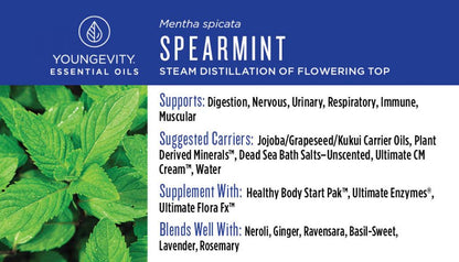 Spearmint Essential Oil - 10ml