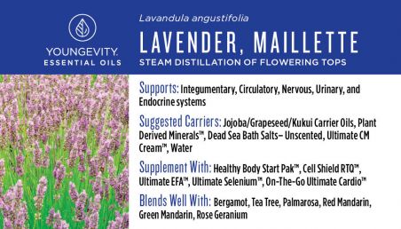 Lavender Mailette Essential Oil - 10ml